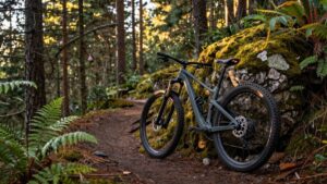 best bike saddles for coccyx pain best bike saddles for coccyx pain